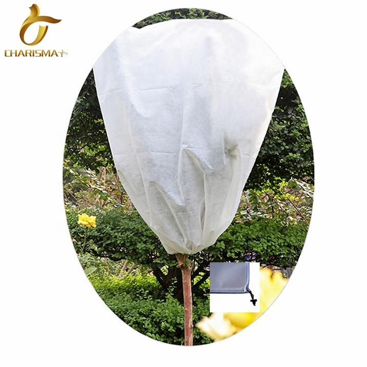 100% PP Spunbond Agriculture Textile Nonwoven Fabric with UV Treatment