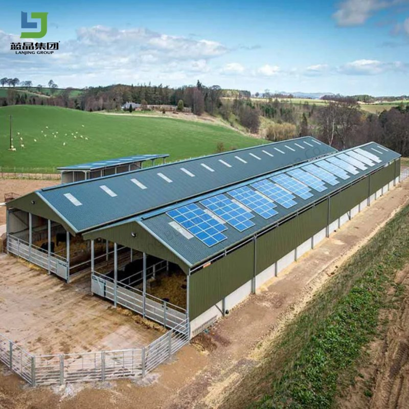 Large Span Steel Structure Industrial Prefab Metal Warehouse Building Garage Shed Workshop Poultry Layer Broiler Breeder Chicken Farm House Low Cost Price