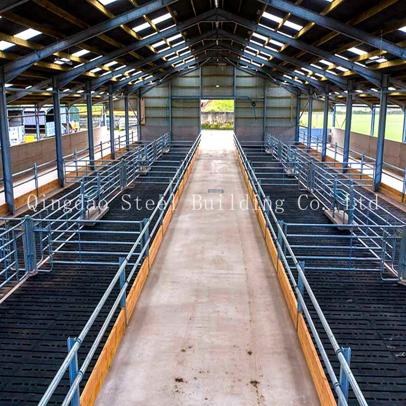 Prefabricated Steel Structure Animal Farming Design Sheep Shed House Building
