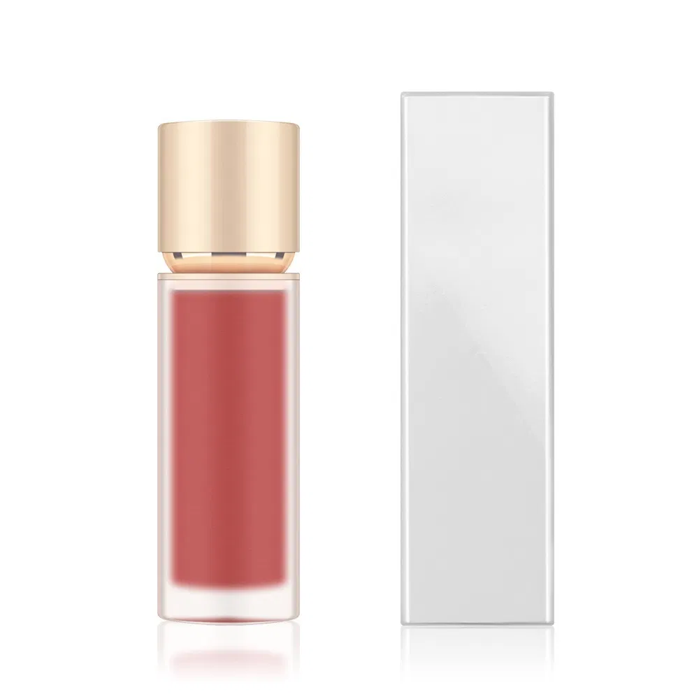 Vegan Waterproof Long Lasting Lip Stick Custom Lip Gloss Matte Liquid Lipstick