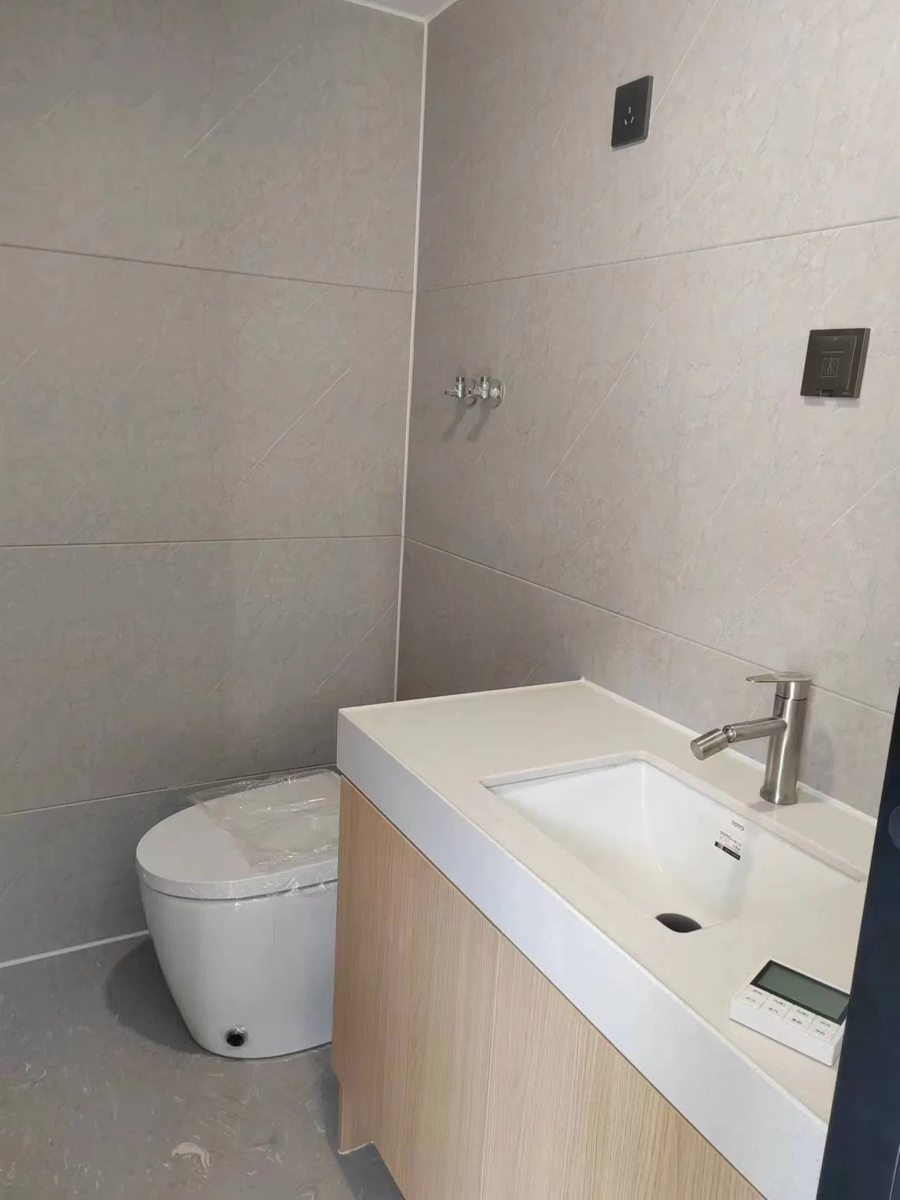 Luxury Modern Home Capsule Mobile House Tiny Modular Prefabricated House