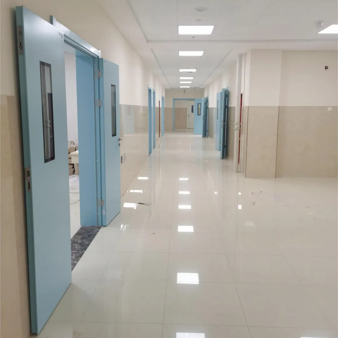 CE Certified Air Tight Leaf High Performance Cleanroom Door Manufacturer Direct for Bio-Safety Purification