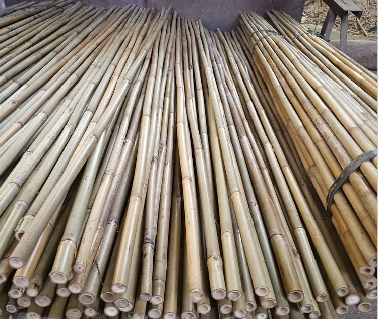 Bamboo Poles From The Hometown of Bamboo in China, with Beautiful Prices and First-Class Quality