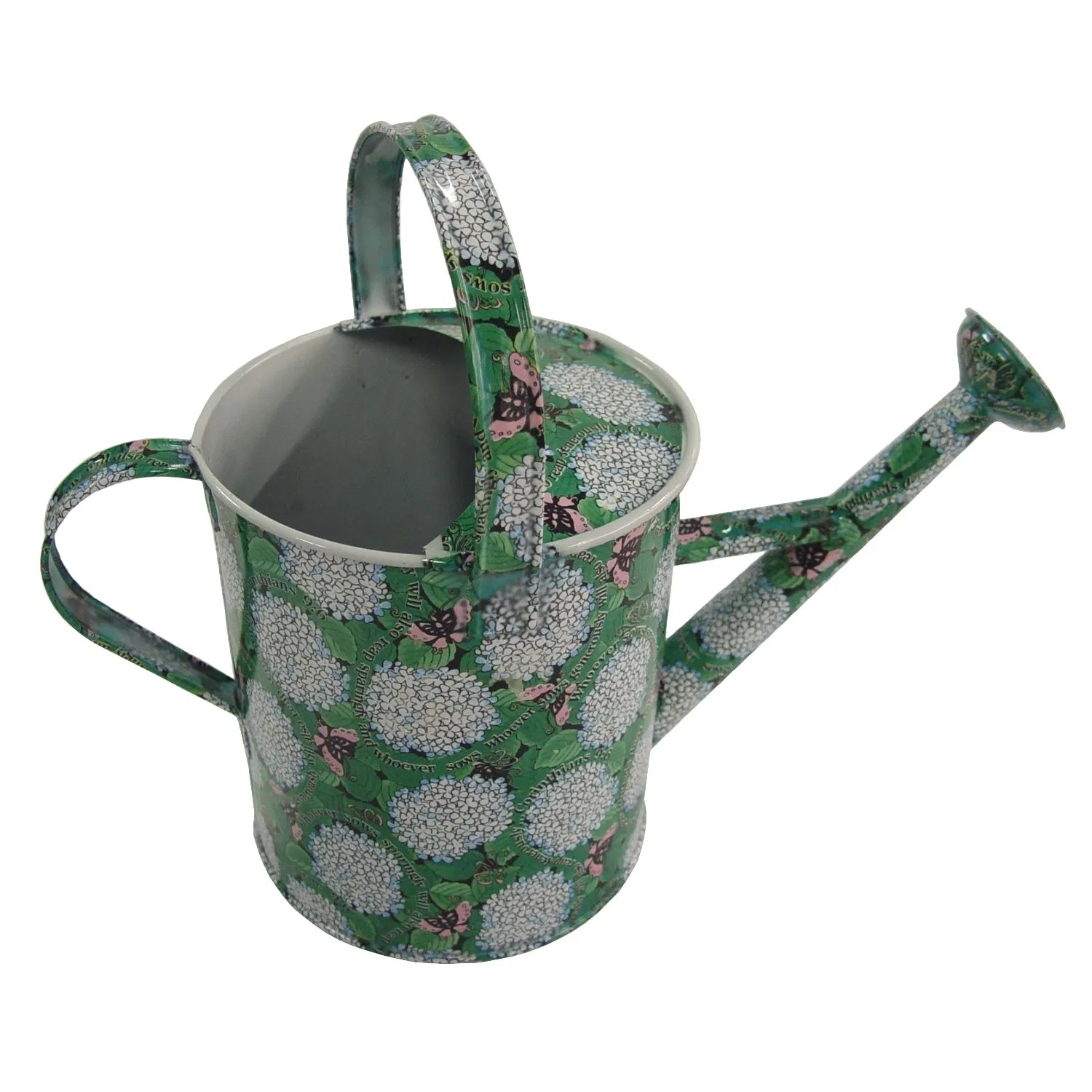 Unique Garden Tools of Watering Can with Personalized Design Modern Retro Home Gardening Watering Can Long Spout Succulent Tin Iron with Zinc Watering Can