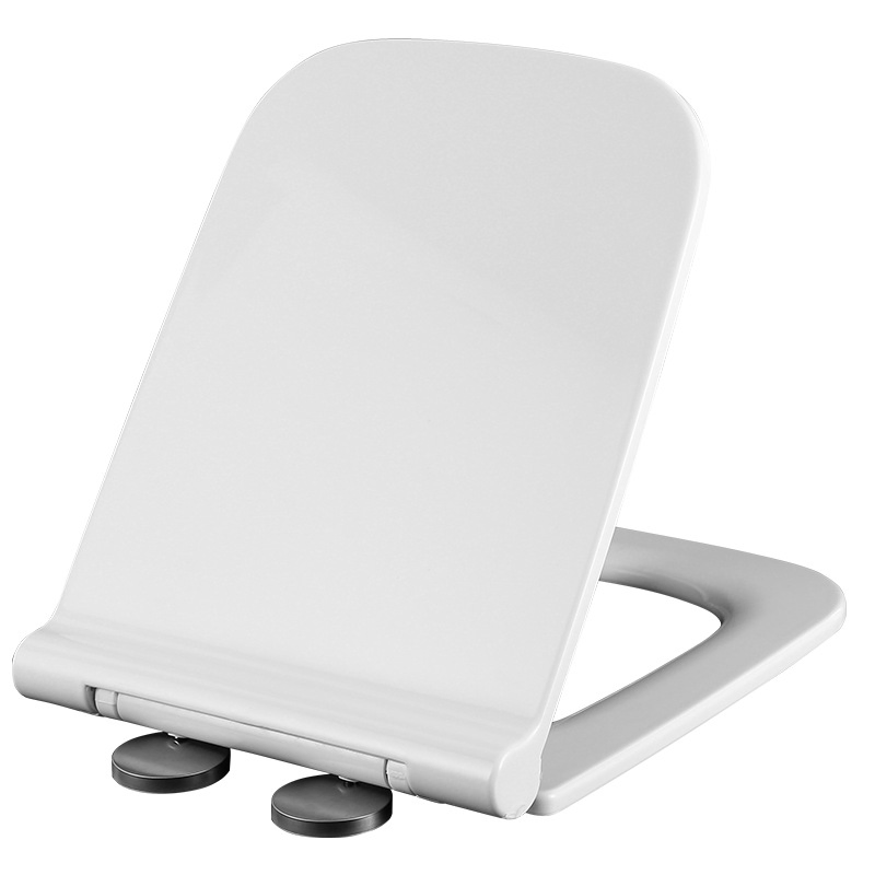 Fluor New Sanitary Ware Accessories Toilet Seat and Cover