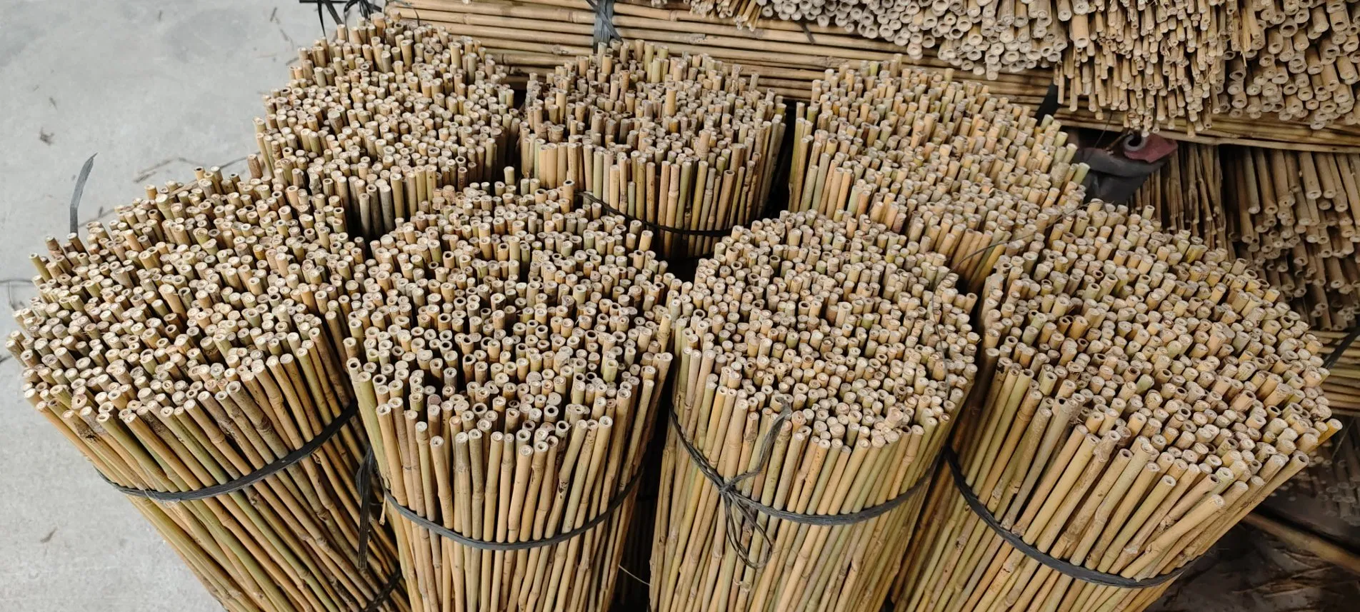 Tonkin Natural Bamboo Stake 1FT 2FT 3FT Length Eco-Friendly Support Plant Bamboo Pole Cane Bamboo Stick for Garden Nursery Plant Support