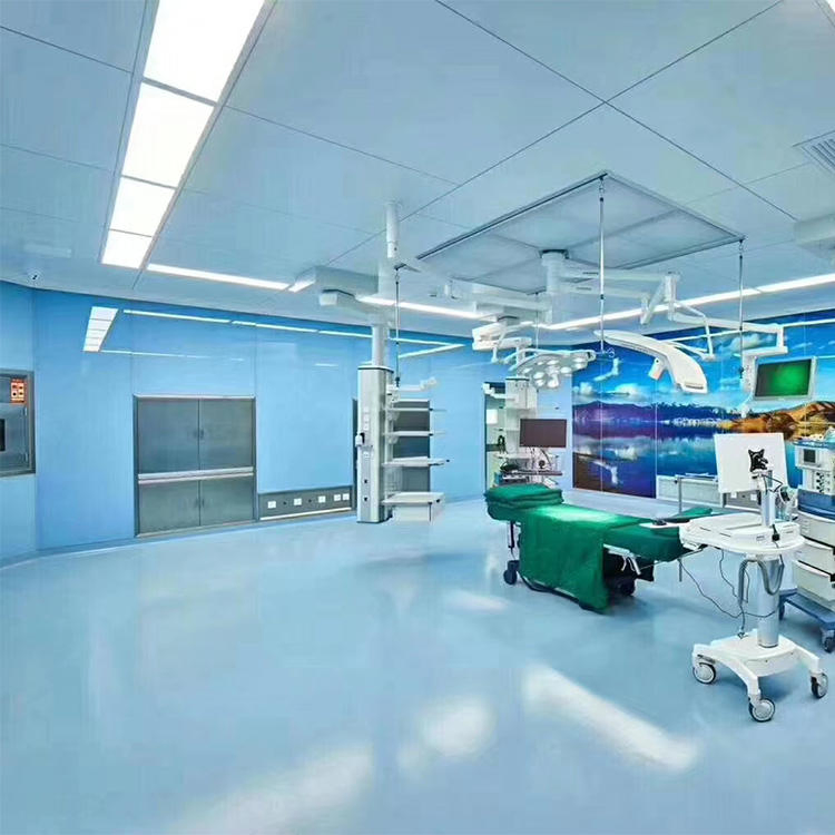 Customize Hospital Operating Room Sterilization Medical Air Purification