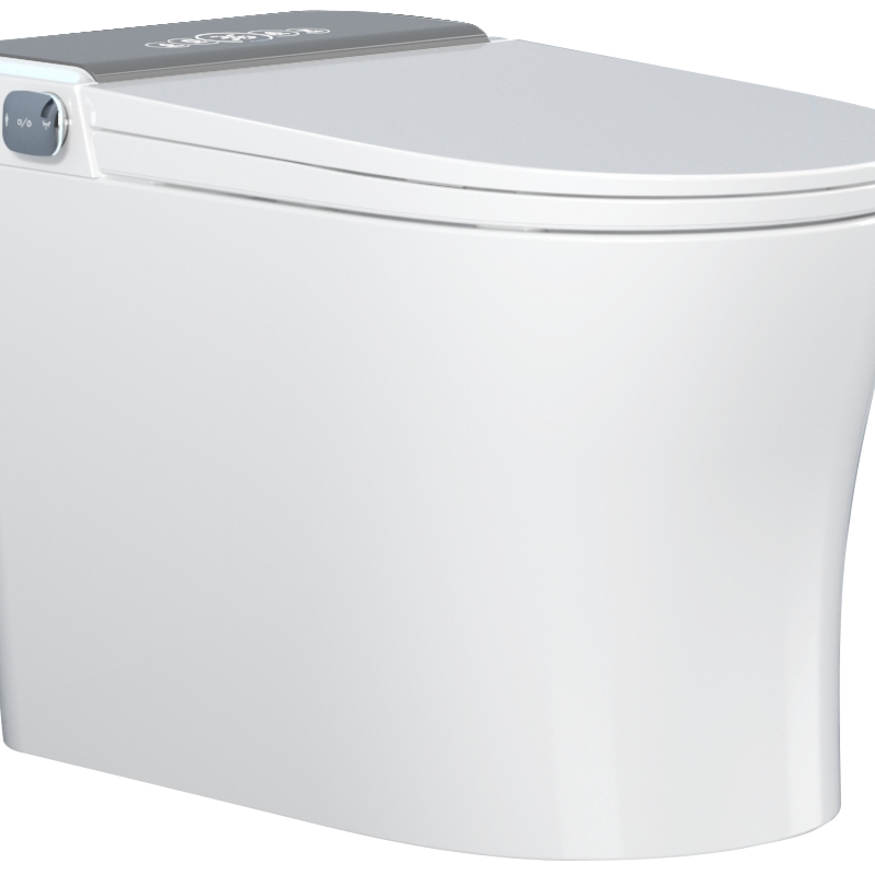 Simple and Popular Fashionable Intelligent Toilet