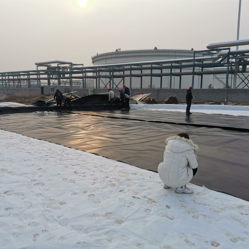 All-Season Geomembrane Fish Pond Liner for Year-Round Fish Care Fish Hatchery Ponds, Lake Bottom Lining and Water Containment