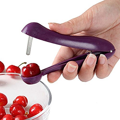 Cherry Pitter PP