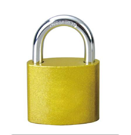 High Security Iron Padlock with Crossed Key (042)