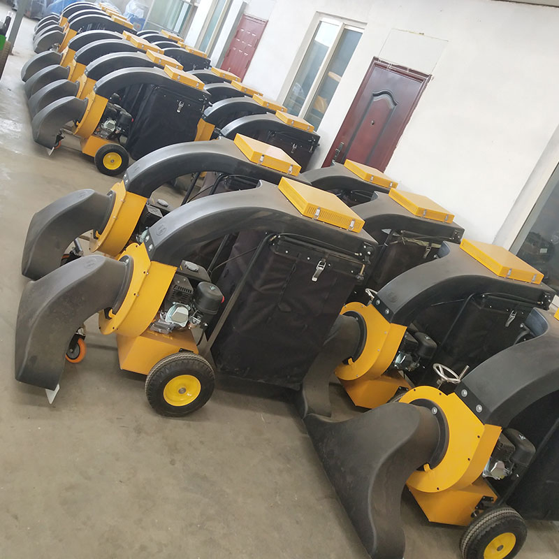 Small Hand Push Style Gasoline Outdoor Road Park Leaf Garbage Collector Leaf Collection Machine