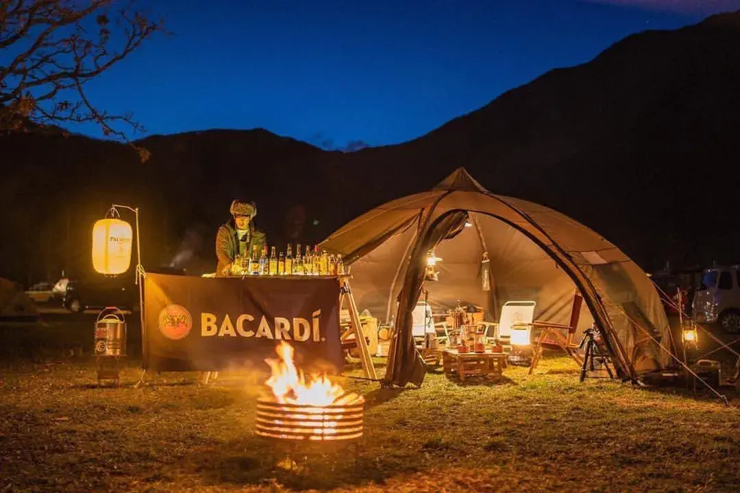 Indoor Wholesale Sauna Wood Burning Stove Solid Fuel Stove Wood Oven for Camping Outdoor Tent