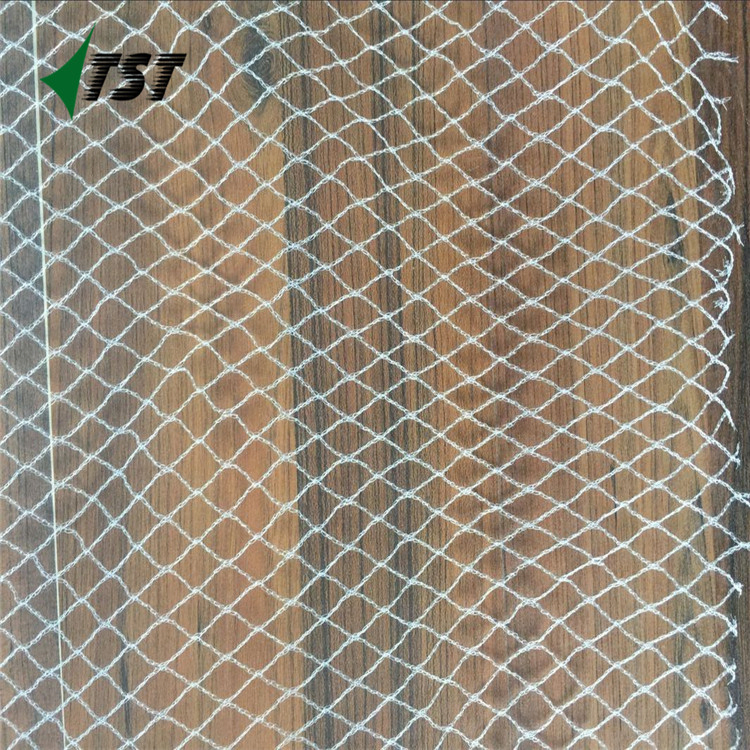 Black Color 20GSM UV Treated PP Plastic Extruded Bop Anti Bird Net/ Plastic Poultry Netting Mesh for Chicken Fencing