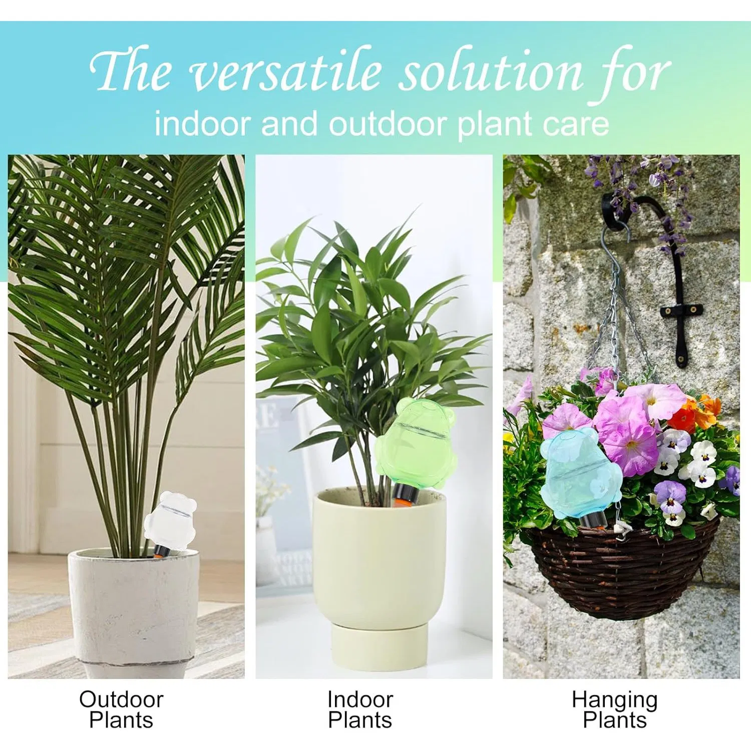 Plastic Frog Plant Self Watering Globes for Indoor and Outdoor