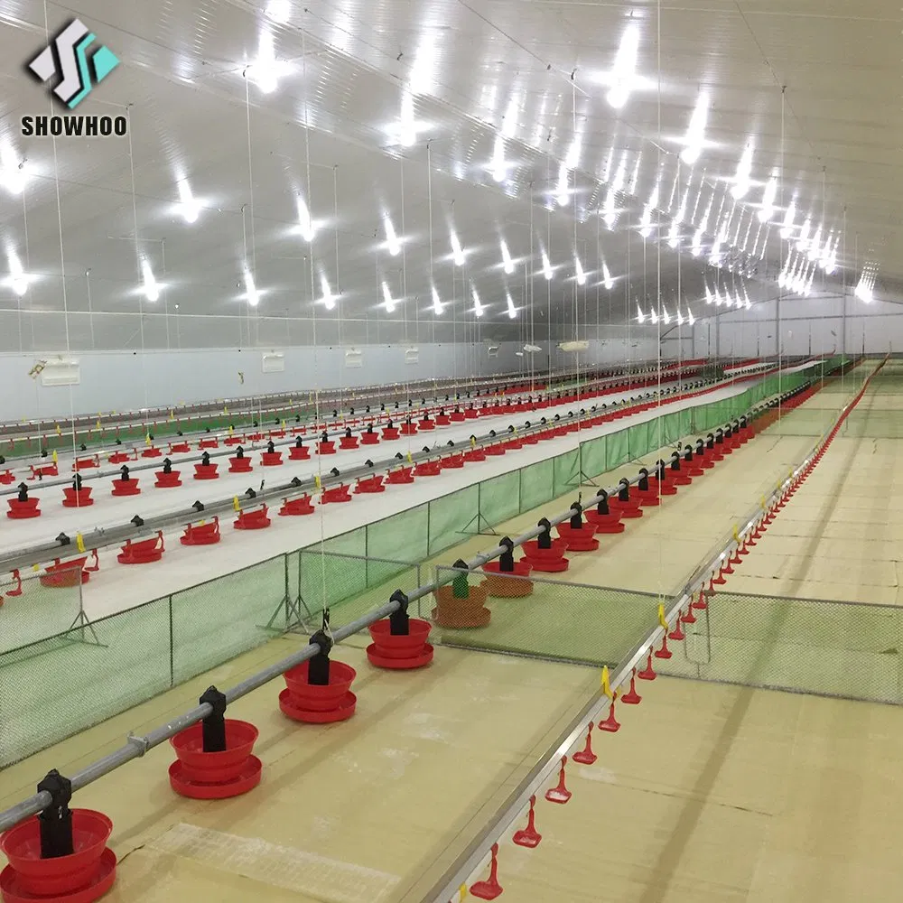 Durable and Cheap Poultry Chicken Farm Equipment with Factory Design