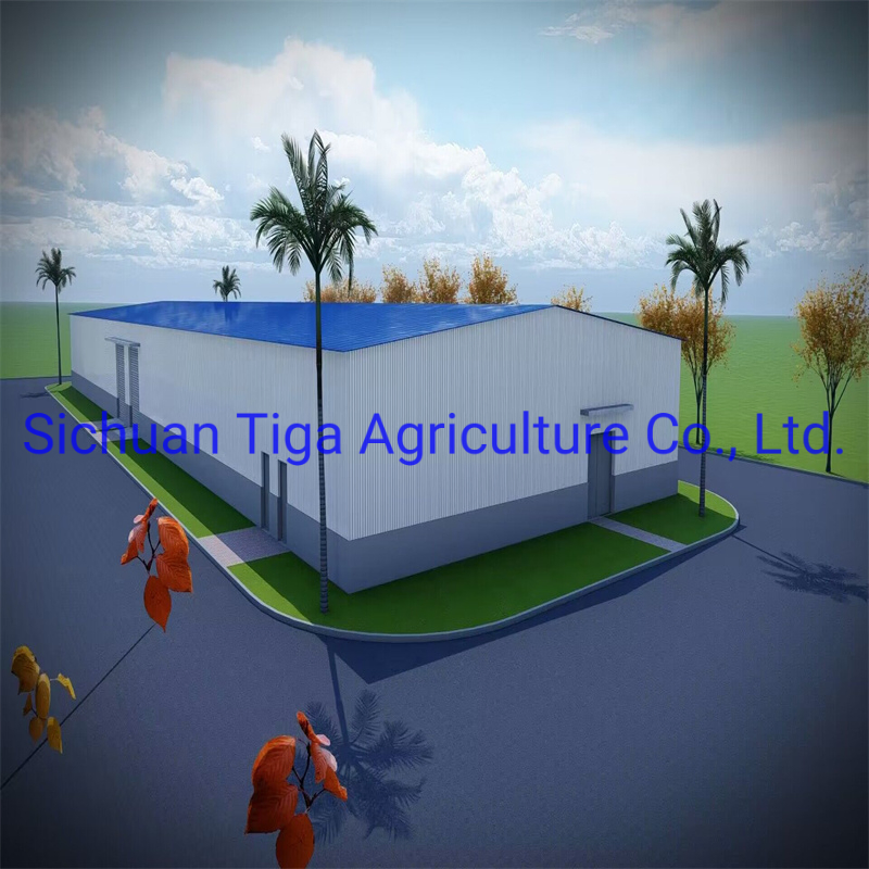 High Strength and High Seismic Resistance Fast Installation Prefabricated Steel Structure Gym