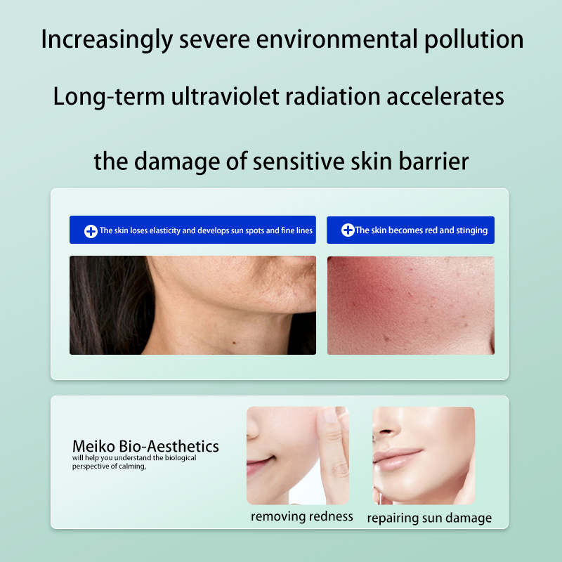 Asian Skin Concealer Hydrating & Skin Repair Chlorophyll Sunscreen Protective Lotion Set