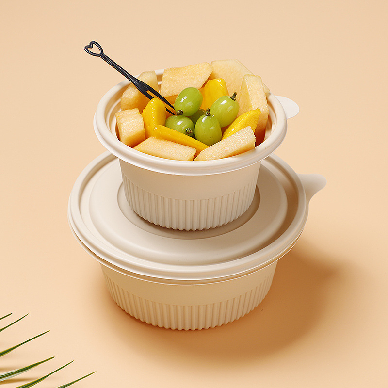 Biodegradable Disposable Bagasse Takeaway Fast Food Packaging Containers Food Take out Box
