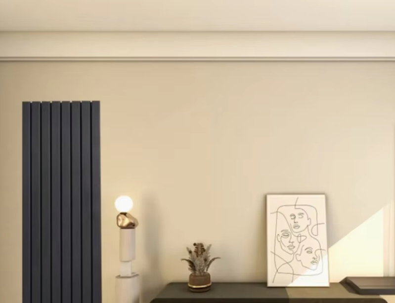 Hot Selling Designer 50*25 Double Steel Hot Water Central Heating Radiator