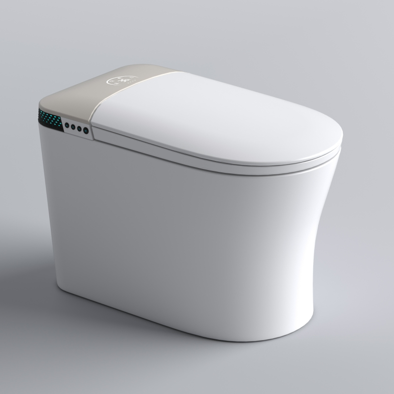 Simple, Hot Selling, Fashionable Ceramic Floor Standing Intelligent Toilet