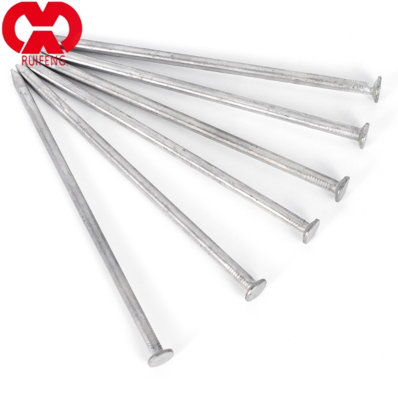 Hot Sale BRT/Eg/HDG Common Nails for Construction