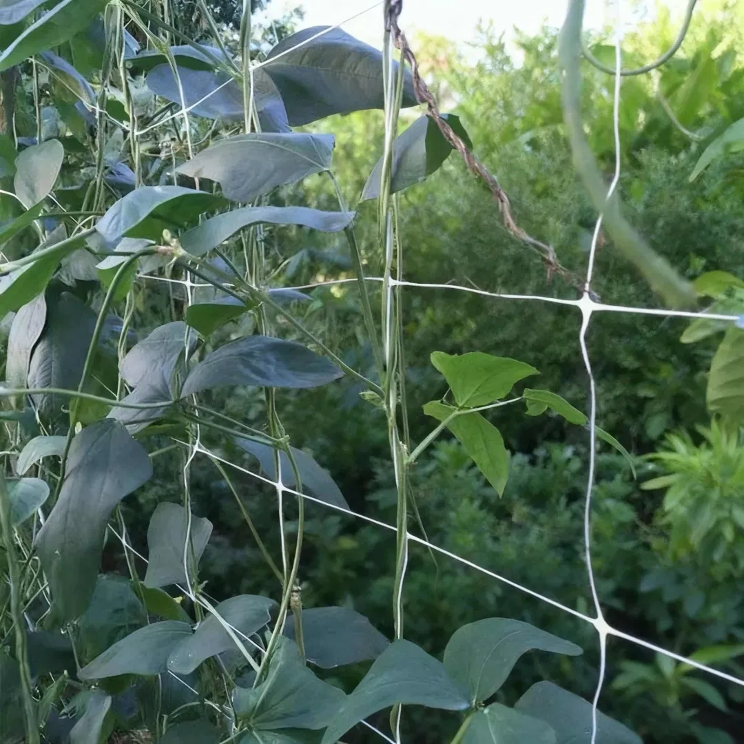 Modular Plant Trellis Panels That Interconnect to Create Custom Sized Growing Areas