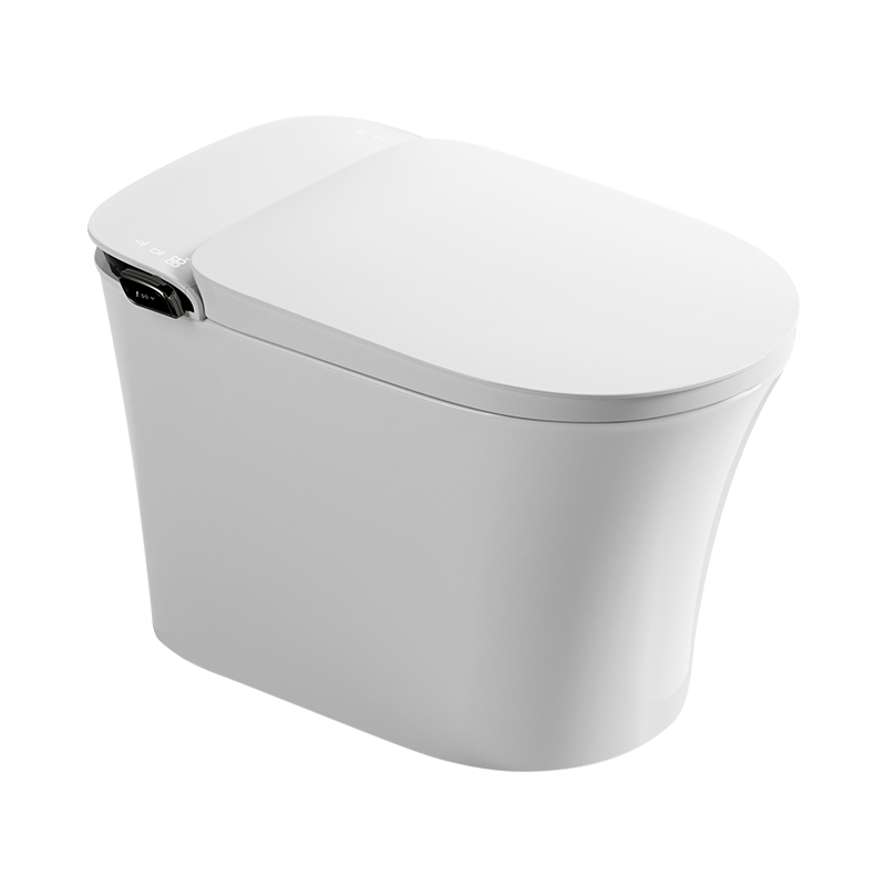 Luxury Modern Intelligent Toilet Integrated Ceramic Remote Control Intelligent Toilet Seat