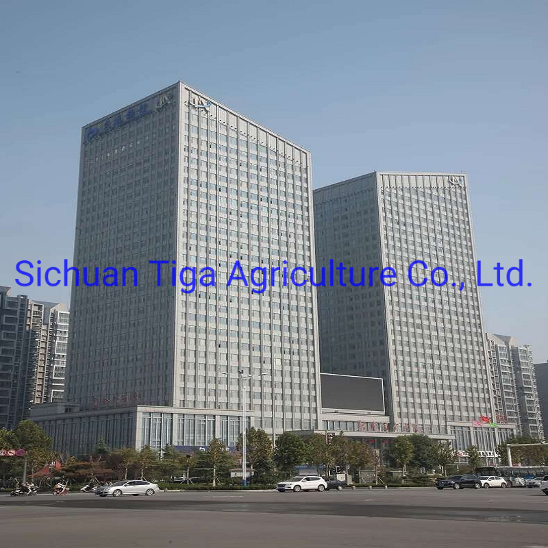 High Strength and High Seismic Resistance Fast Installation Prefabricated Steel Structure Hospital