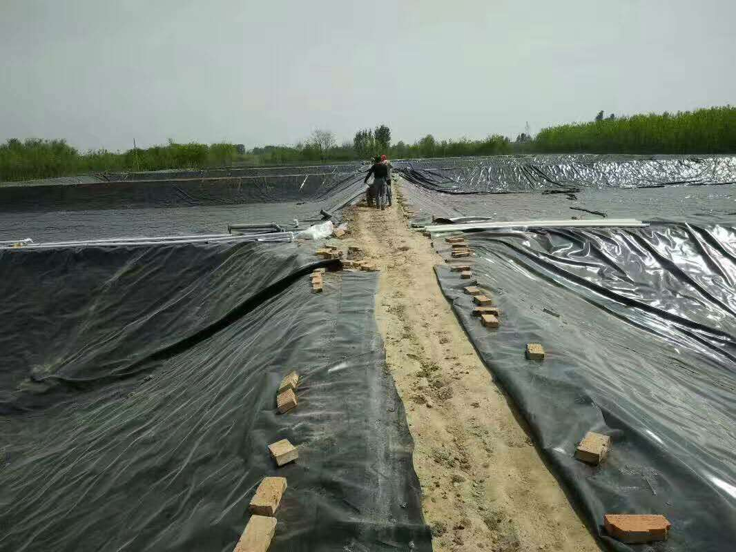 Flexible Sealing Geomembrane - Flexible, Well Sealed, Suitable for Use in Landfills.