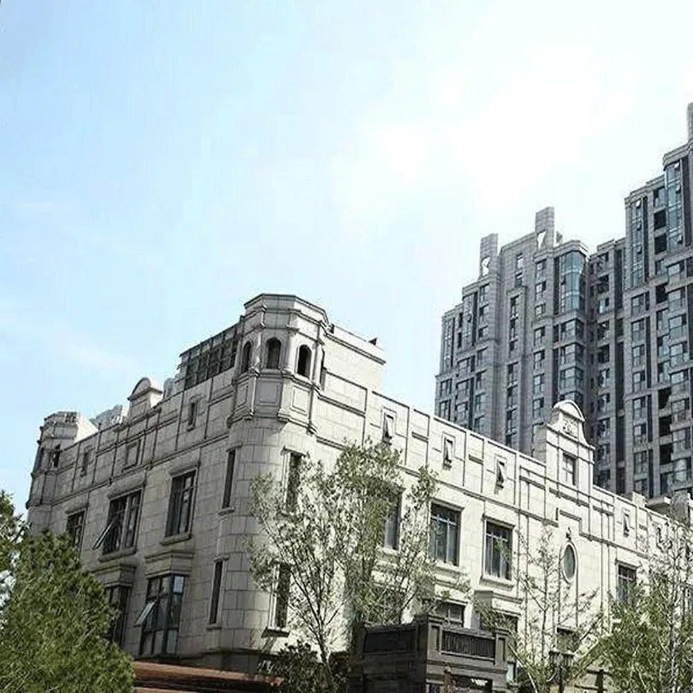 Material Facade 6mm Panel Thickness Decorative Fixing Natural Stone Facade Cladding