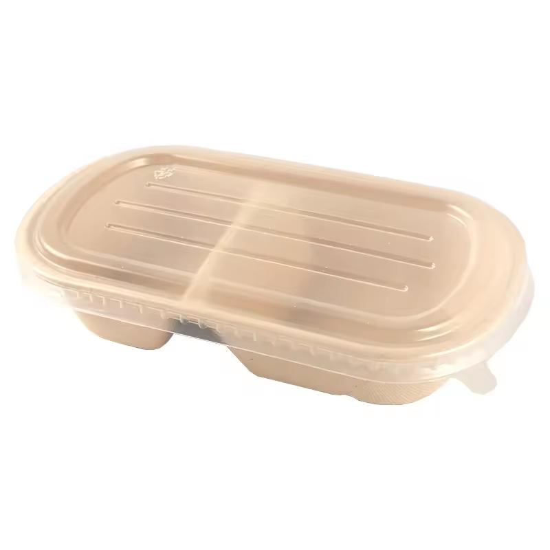 Sugarcane Fiber Container Disposable Biodegradable Paper Takeaway Box with Lid