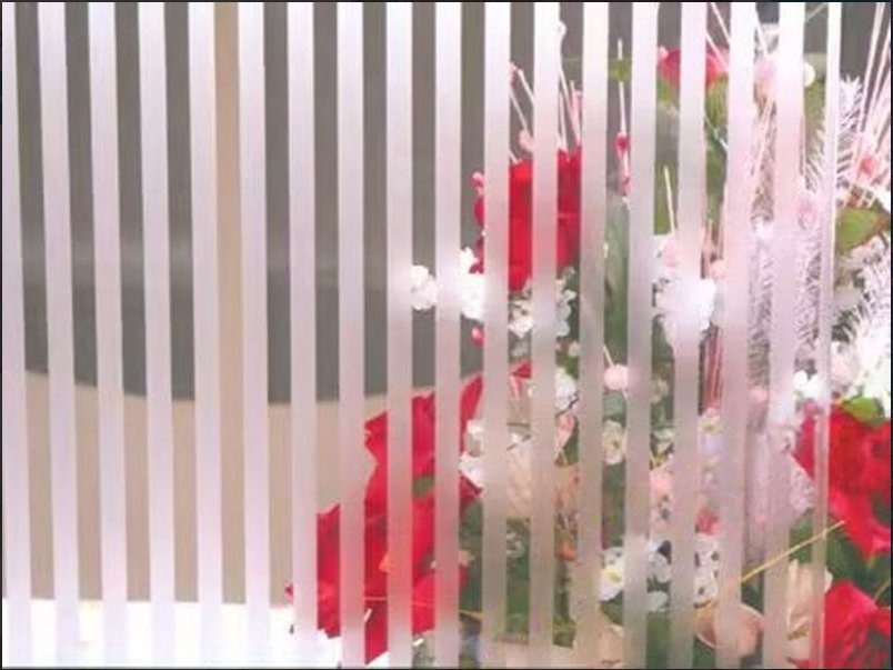 10mm Acid Etched Patterned Glass Art Decorative Glass for Decoration/Building