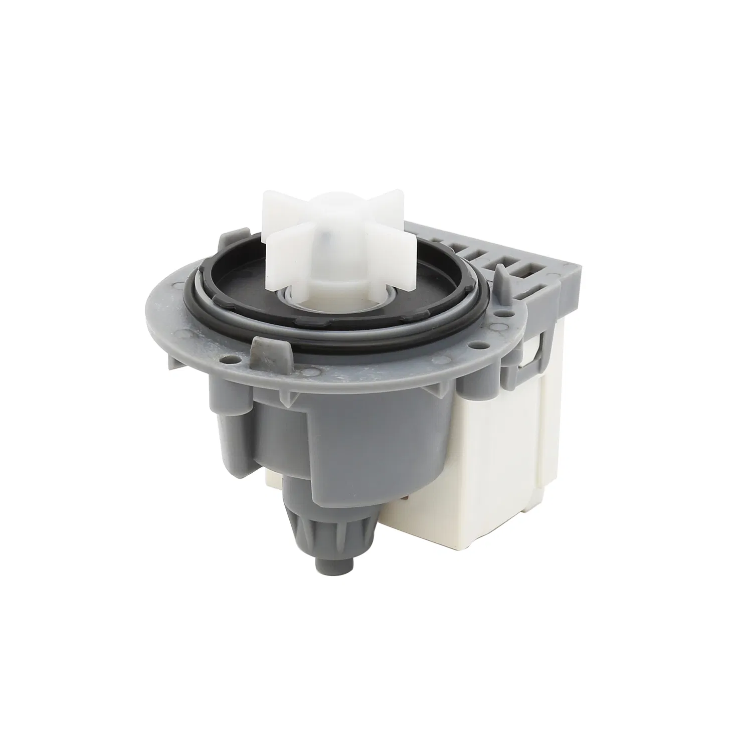 Ruijp AC Hot Sale Washing Machine Spare Part Askoll Drain Pump
