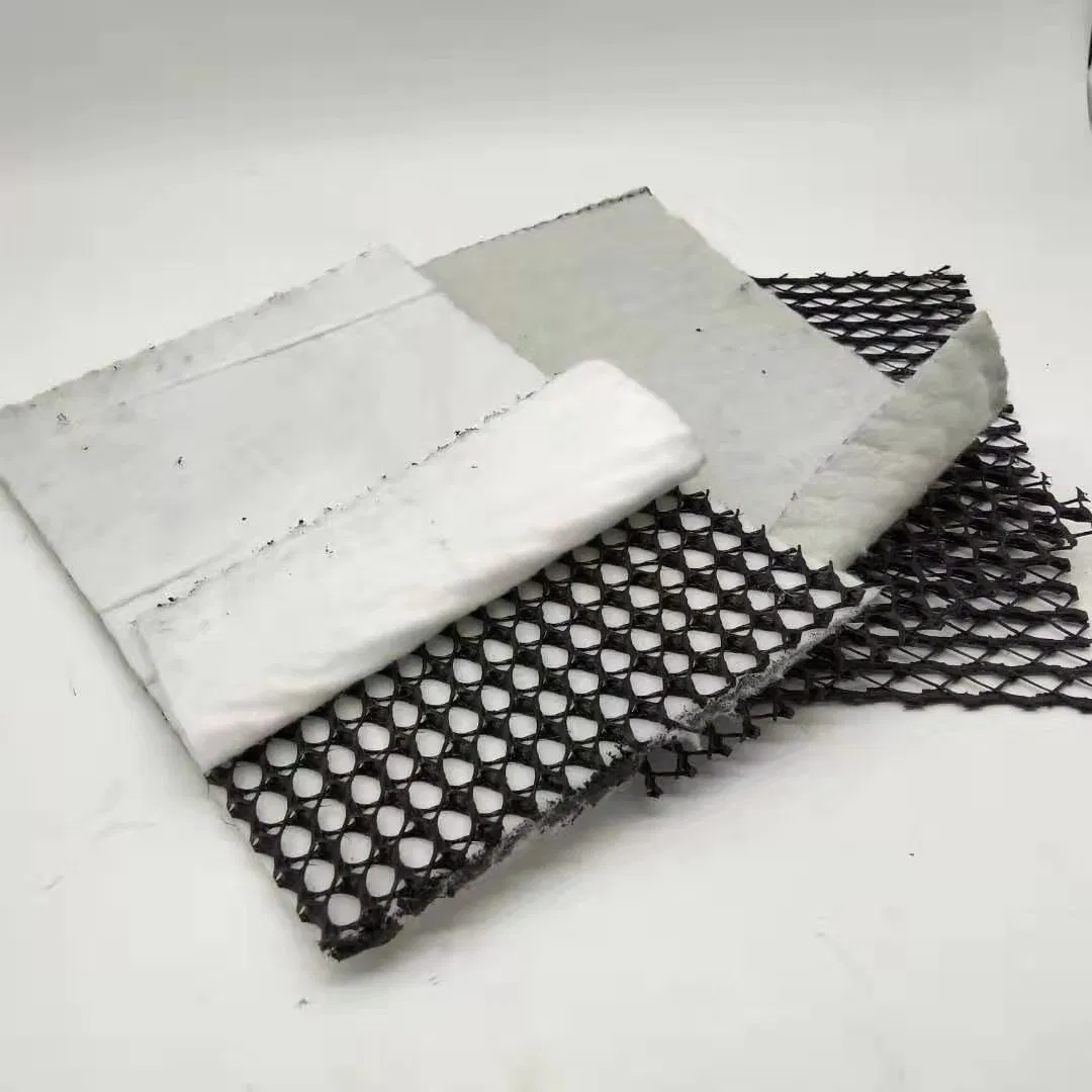 Factory Price HDPE Plasti Board Drainage Sheet Mat/Plastic Drainage Matting 60mm Geonet Roadbed