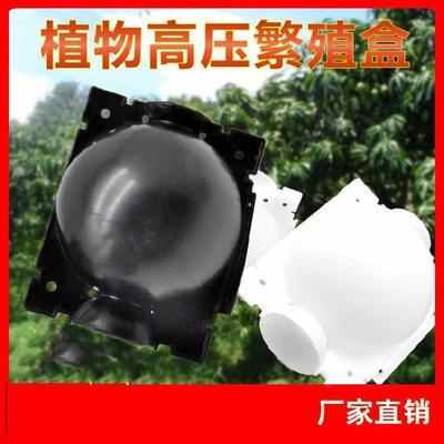 Коробка для прививки укоренения растений