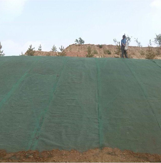 Erosion Control Geomat/Planting Mat/Plastic Mesh/3D Geomat