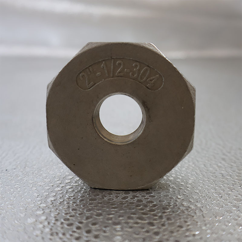 Stainless Steel 304 316 Male Thread Pipe Fitting Hex Bushing for Full Couplings