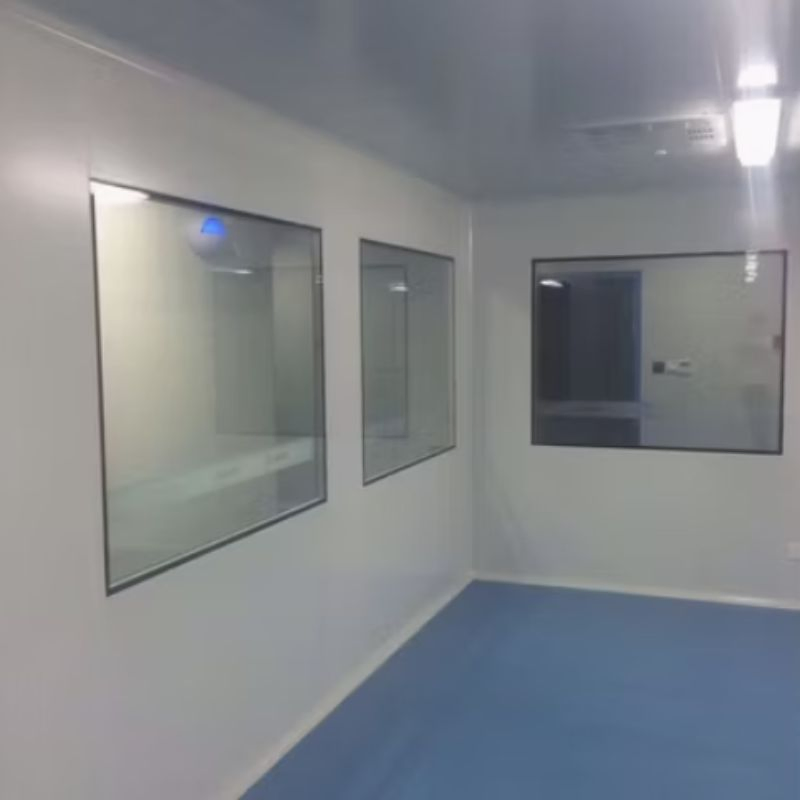 Customized Clean Window for Food Factory
