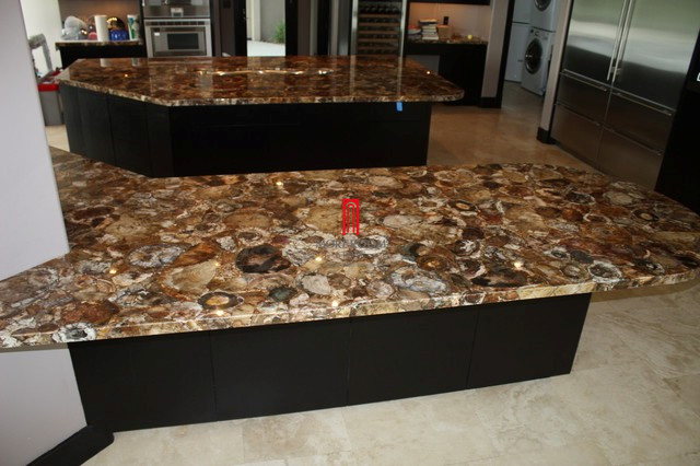 Home Decorative Gemstone Petrified Wood Fossil Wood Kitchen Countertops