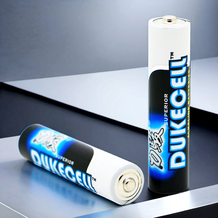 Premium Quality AAA Alkaline Battery for Everyday Use