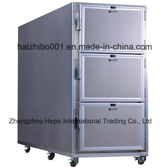 Hospital Clinic Equipment Mortuary Refrigerator Freezer (for HP-CR2N)