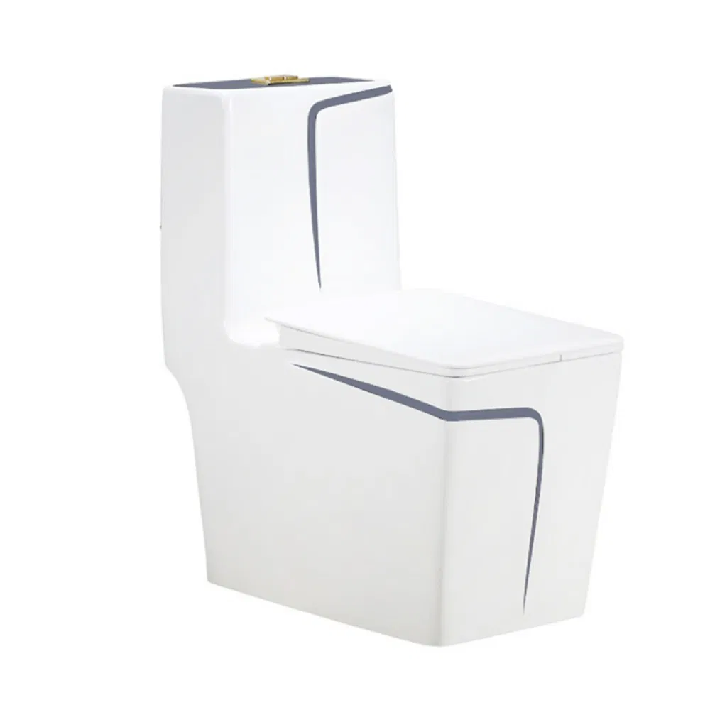 One-Piece Rough-in Ceramic Toilet White Toilet Bowl Rare Earth Antibacterial Glaze Slow Down Cover Seat Siphon Wc