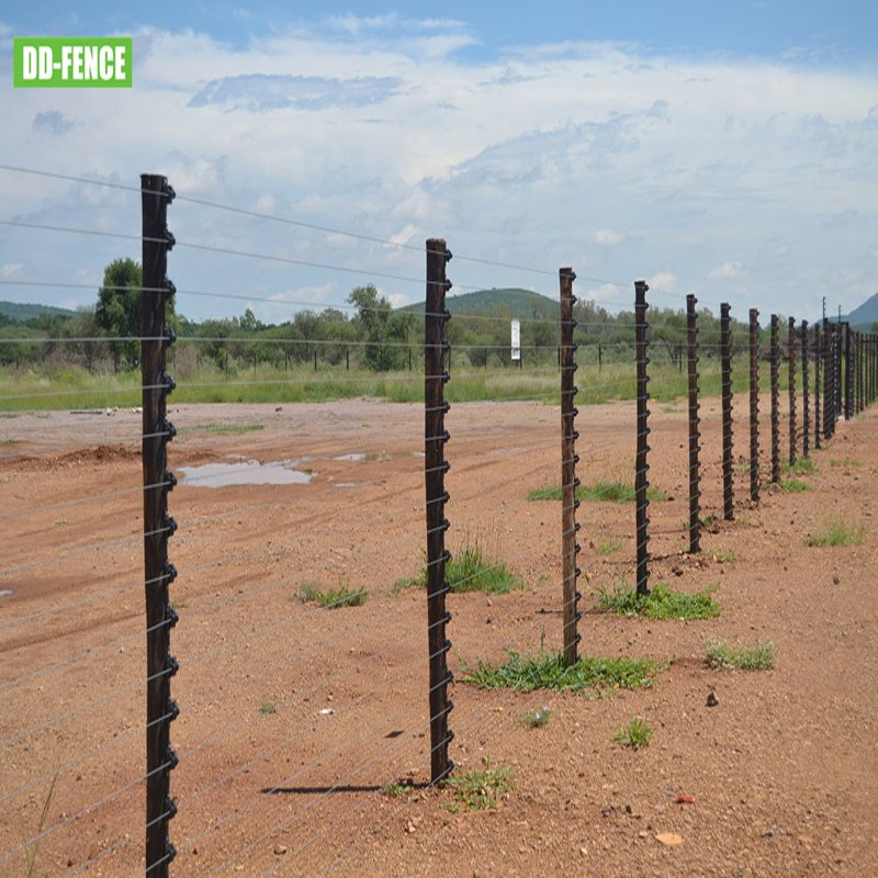 Factory Price Electric Fencing Energizer for Cattle Horses Elephant and Other Animals Livestock Poultry