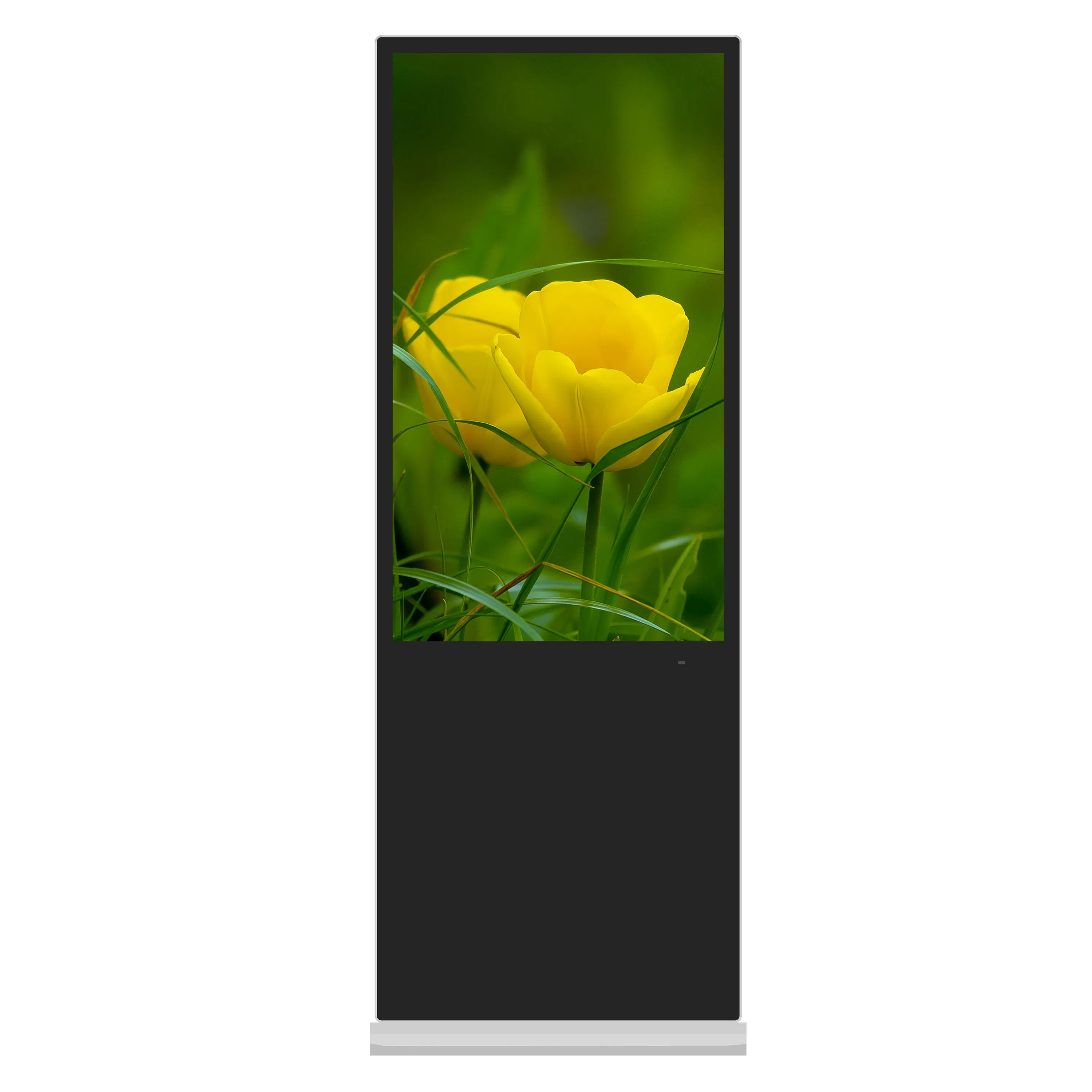 32/43/55/65 Inches 4G and WiFi Enabled Digital Standee LCD Advertising Display Video