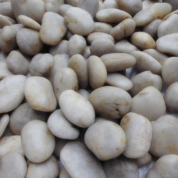 2021 Hot Selling White Polish Pebble Stones River Stone Gravels for Garden Decoration