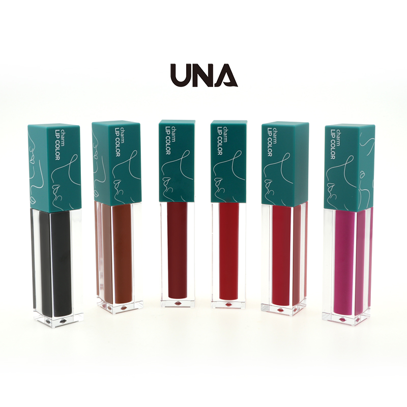 Cosmetics Vendor Hot Sale Fashion 6 Colors Bulk Custom Logo Matte Lip Gloss