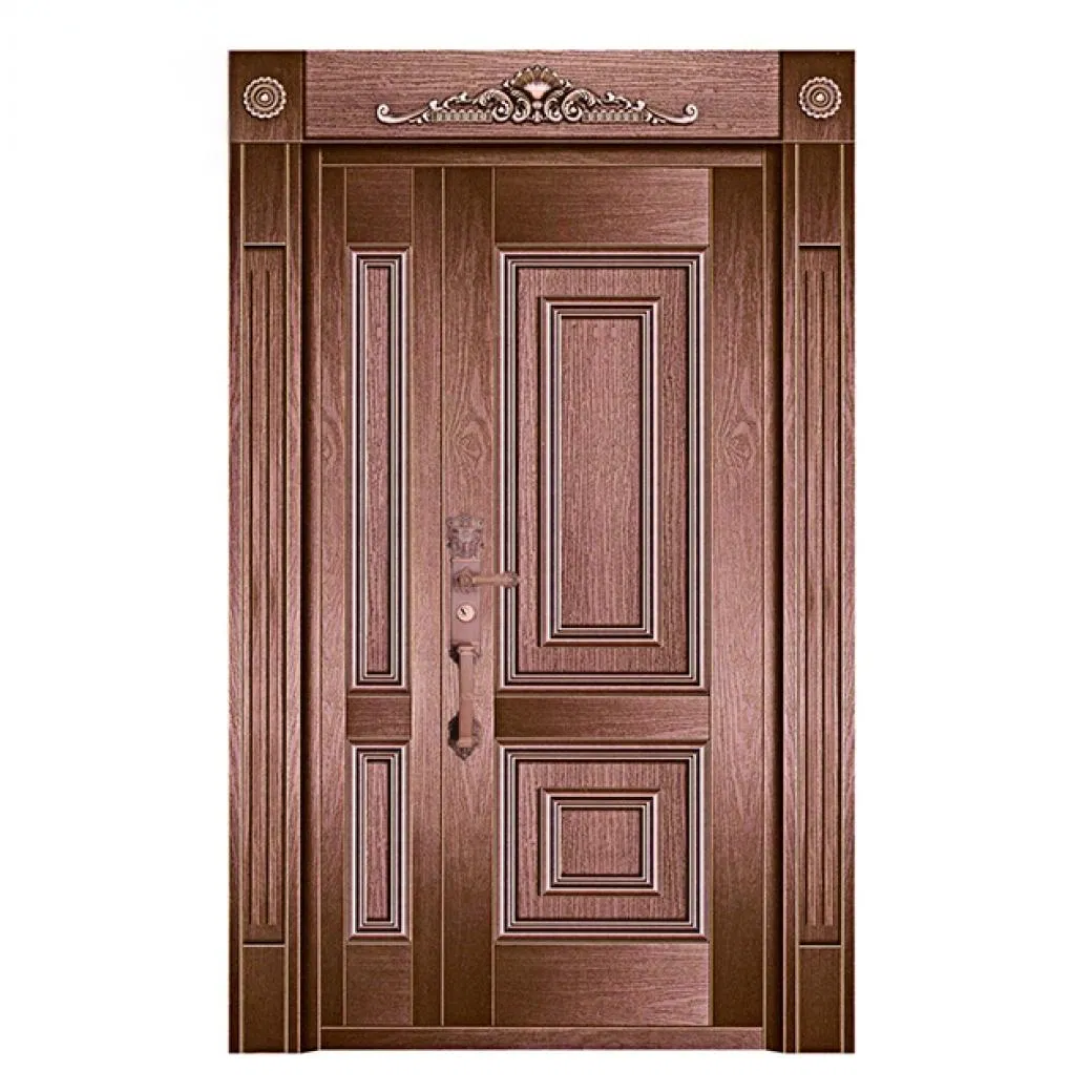 Входная металлическая дверь для коттеджа, сталь