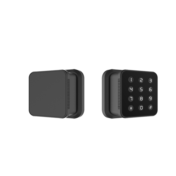 Intelligent Electronic Gym Fingerprint Locker RFID Cabinet Locker Lock Lock