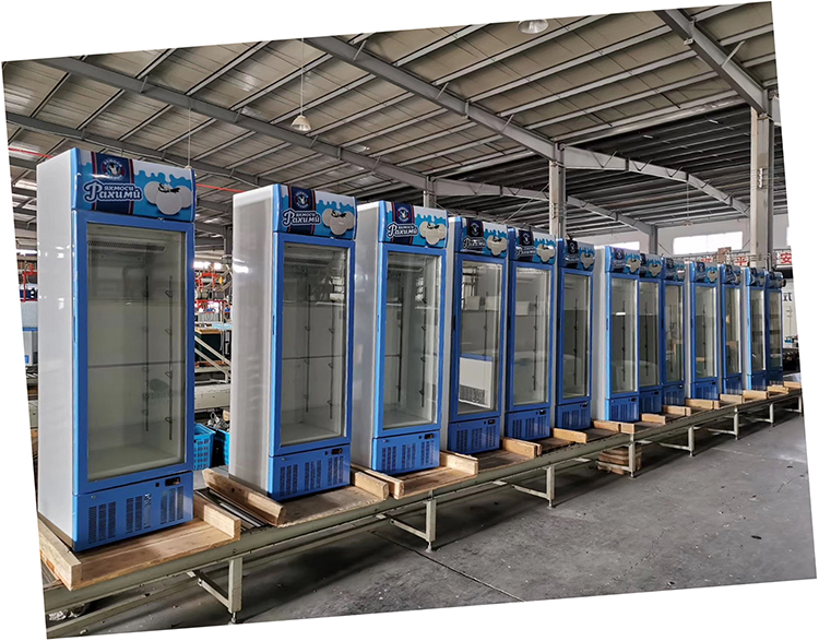Lsd-268 Upright Freezing Showcase Display Freezer